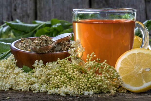 herbal tea to prevent parasites