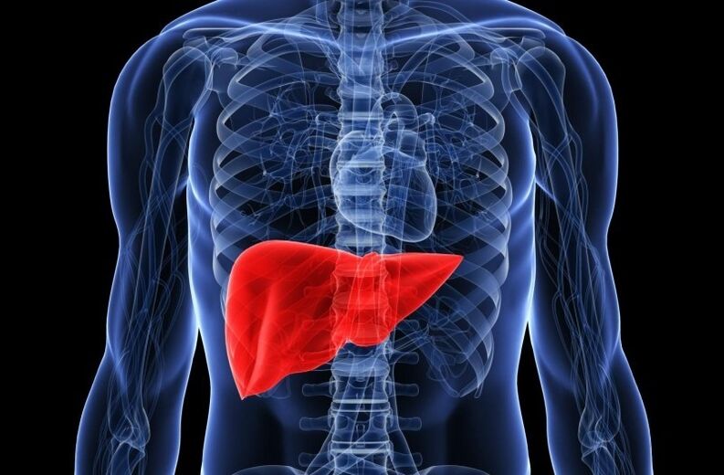 Liver infection