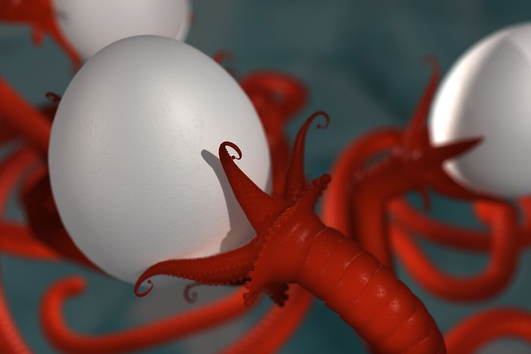 a worm parasite of man